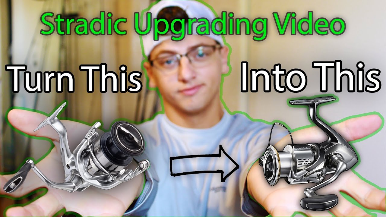 2019 Stradic FL Upgrade to STELLA?! Bearing UPGRADE