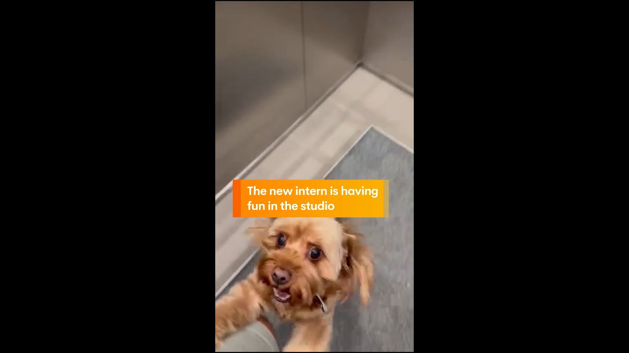 The new intern is having fun in the studio