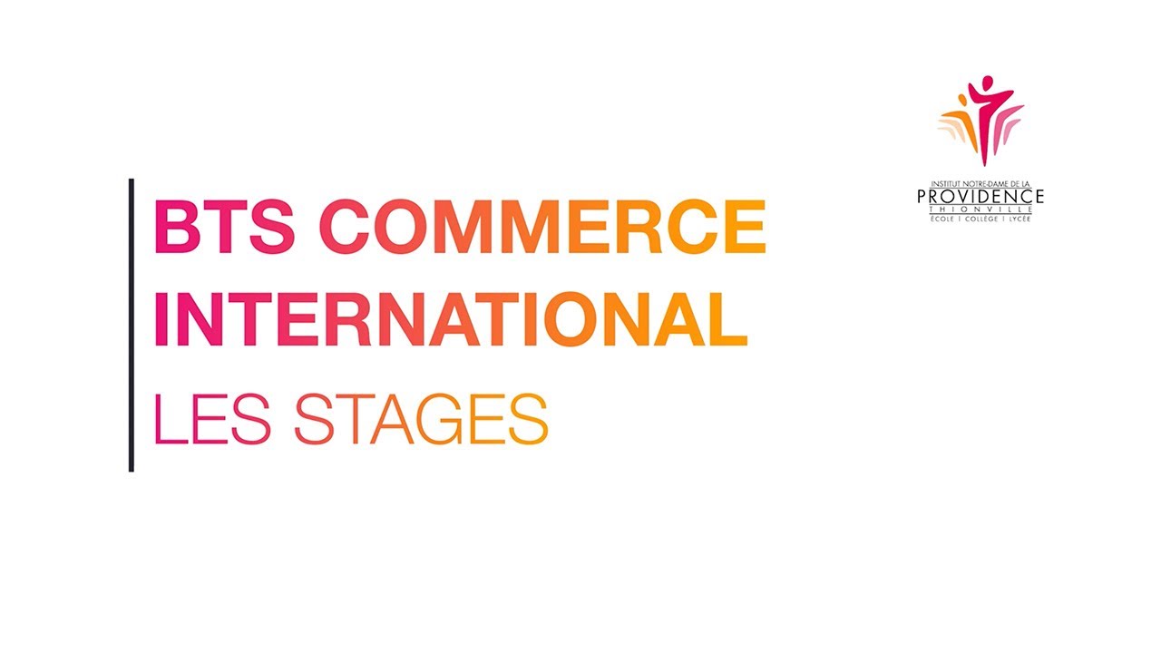 Les stages en BTS commerce international
