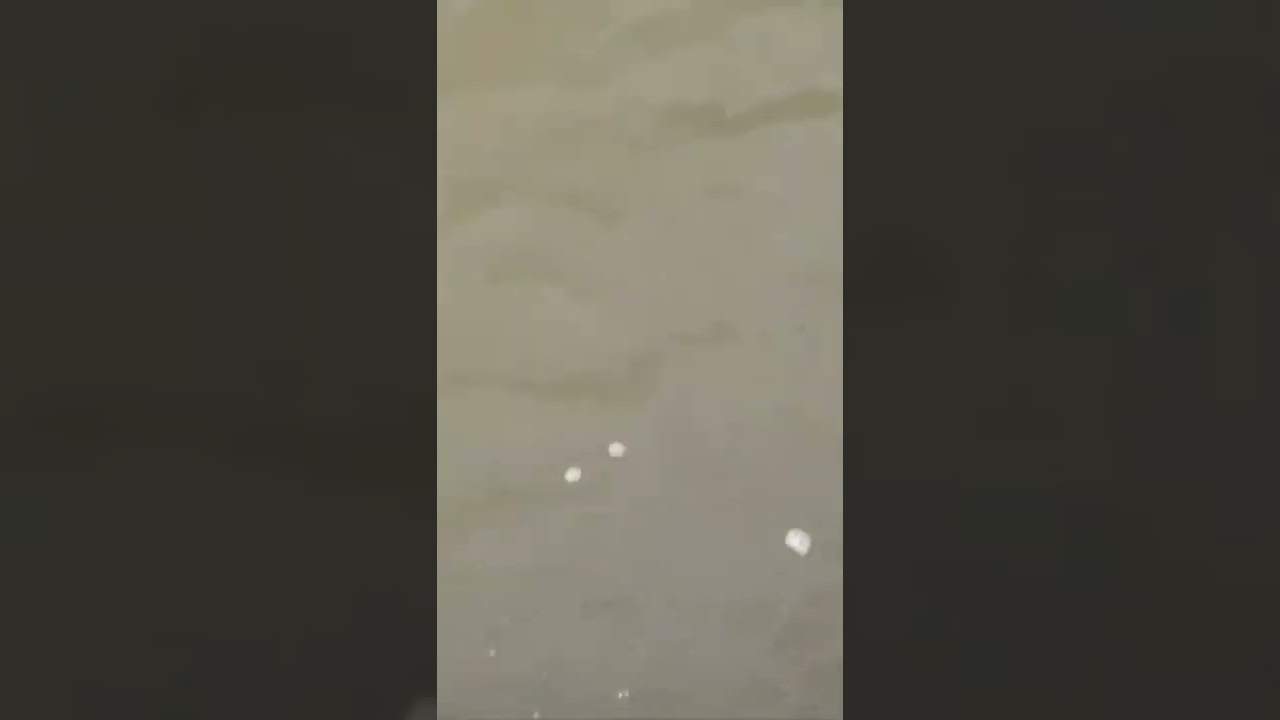 river bumping