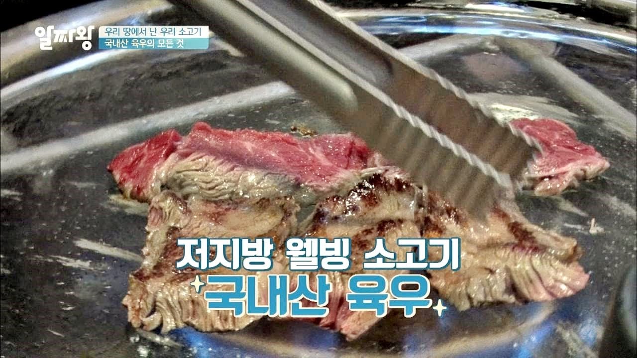 국내산 '육우' 마음껏 먹어도 비용, 칼로리 부담 NO! TV정보쇼 알짜왕 86회