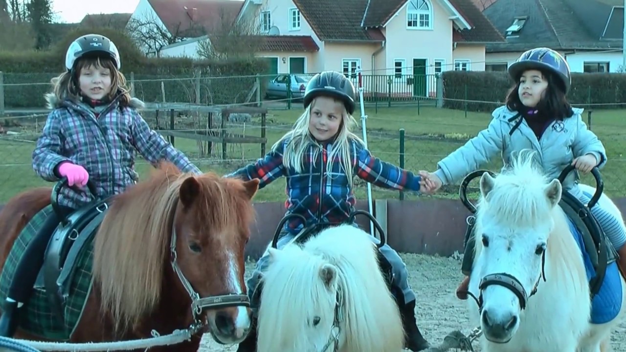 Teamponyschule Langgöns