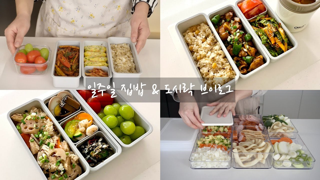 일주일 식단, 매일매일 맛있게⭐ 집밥 & 도시락 브이로그 (feat. 밀키트) / 봄동전, 닭간장조림, 닭고기연근밥, 얼큰 소고기무국, 연근조림