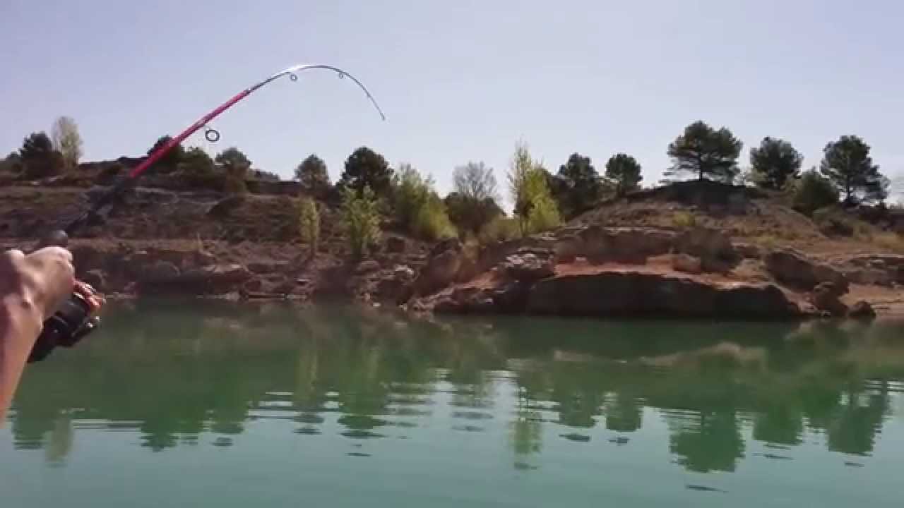 Luciopercas embalse de Buendia | HD