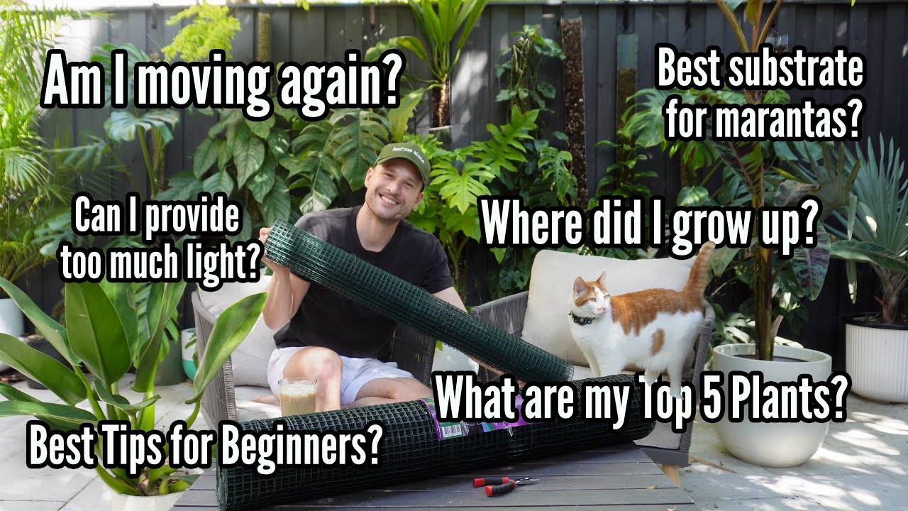 Relaxed Q&A in my Garden (Planty & Personal Questions)