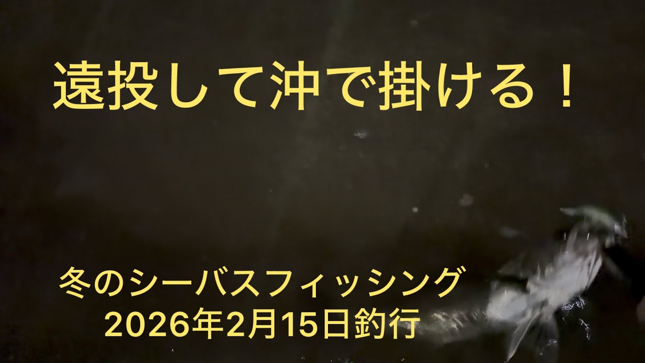 冬のシーバスフィッシング　2026/2/15