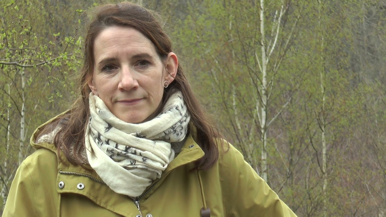 Trekking Plattform in der Eifel