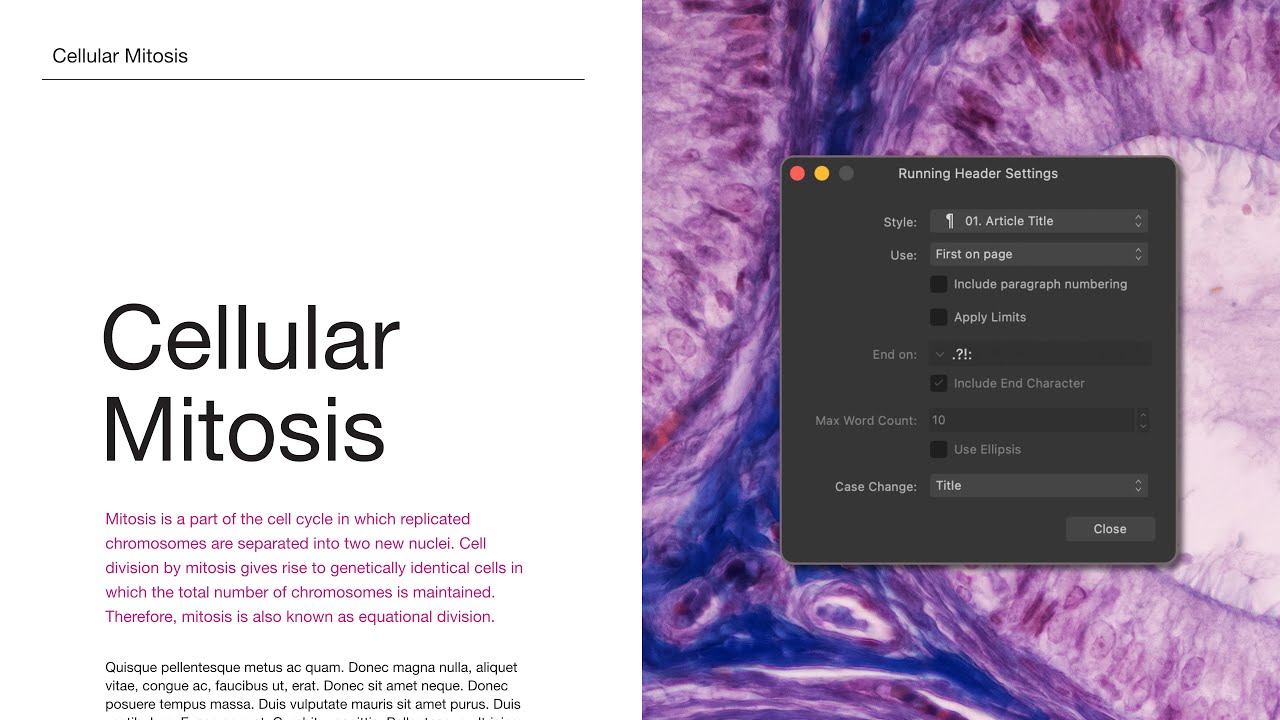 Running Headers (Affinity Publisher)