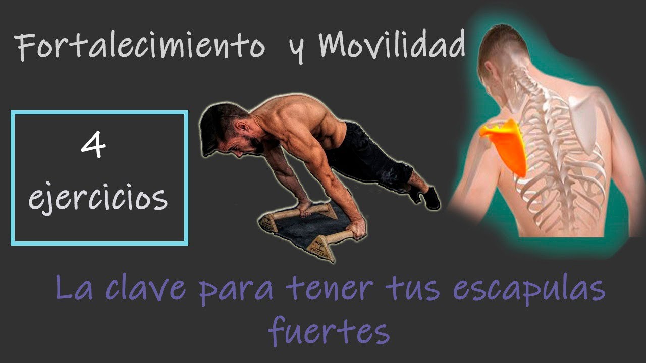 4 Ejercicios para tus esc&aacute;pulas | Fortalecimiento y movilidad 🔥 | Peso Corporal - Calistenia