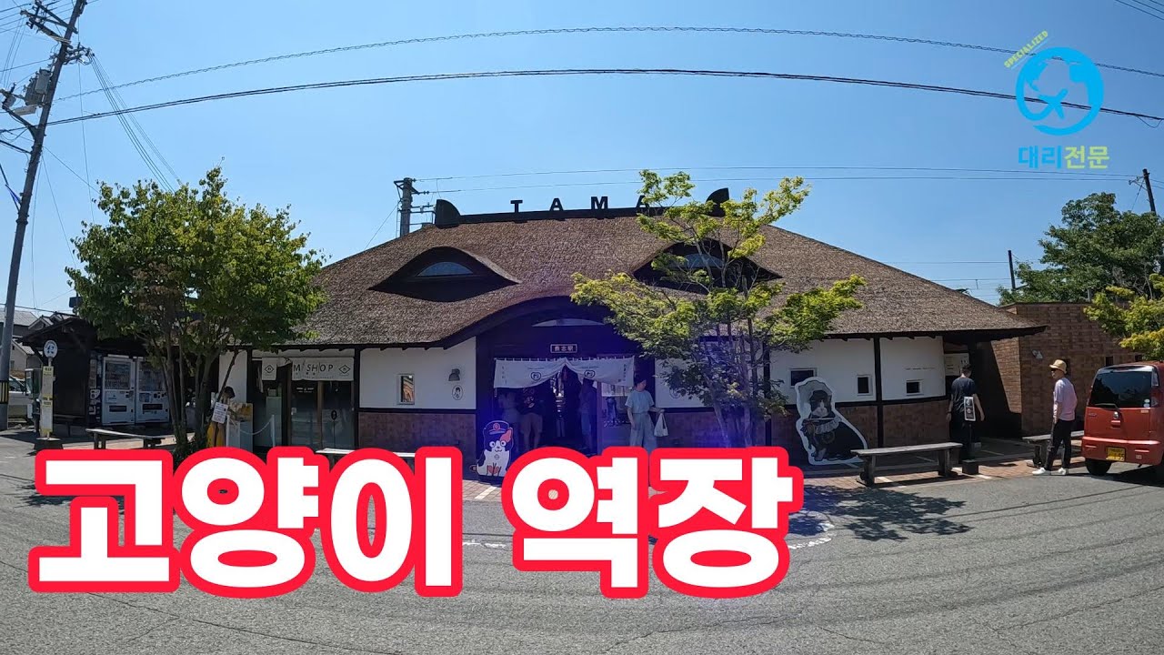 고양이 한 마리가 100억 경제 효과? 일본 와카야마 고양이 전철 직관 후기 🐾 [오사카 태교여행 7]