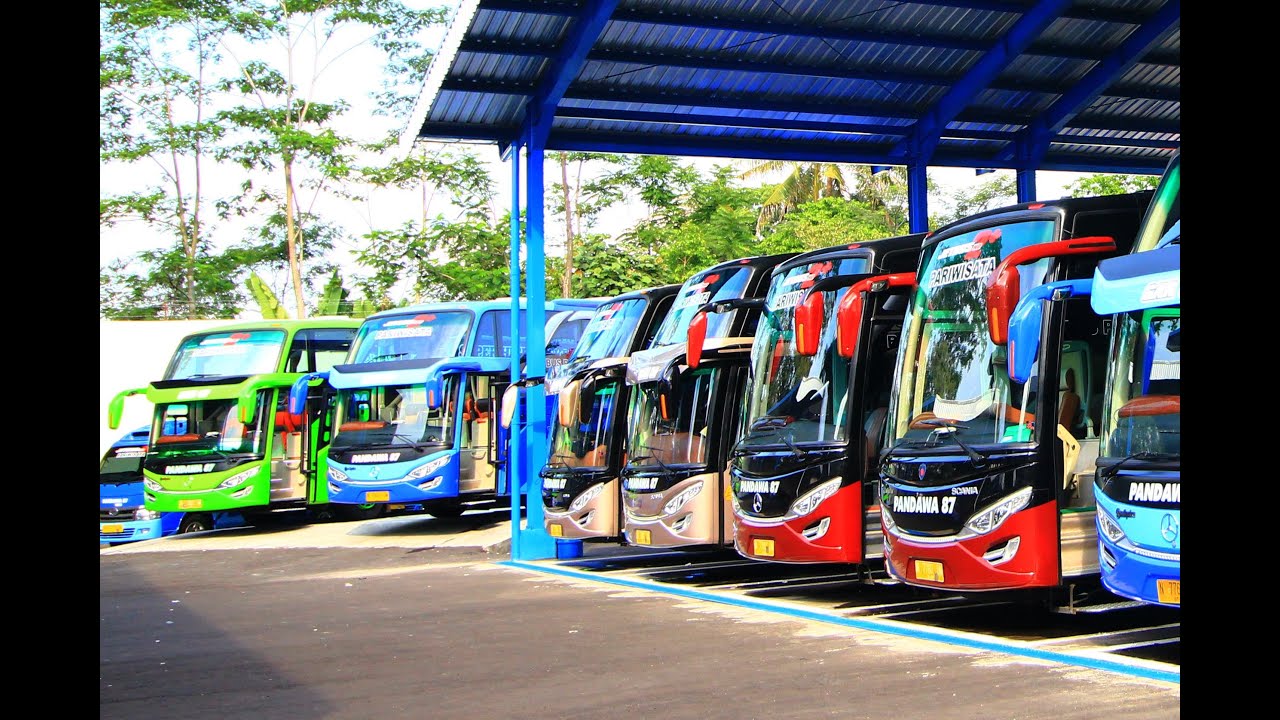 Kemewahan 4 Unit Bus Premium Class Pandawa87