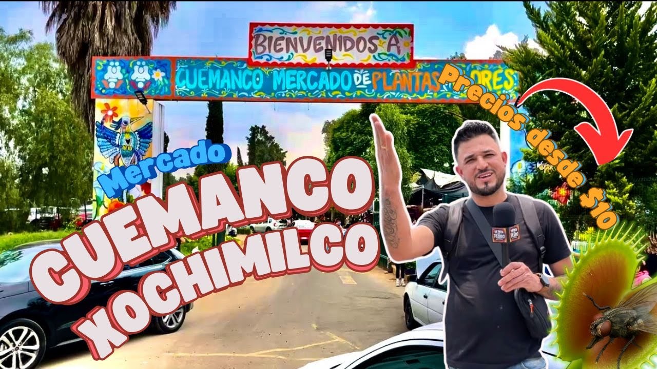 Explorando Cuemanco: plantas exóticas, locales sorprendentes y mucha vibra”