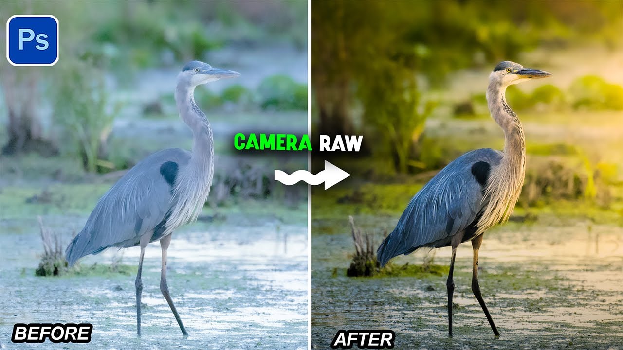 The Ultimate Masking Trick to Recreate Lighting Realistically in Camera Raw