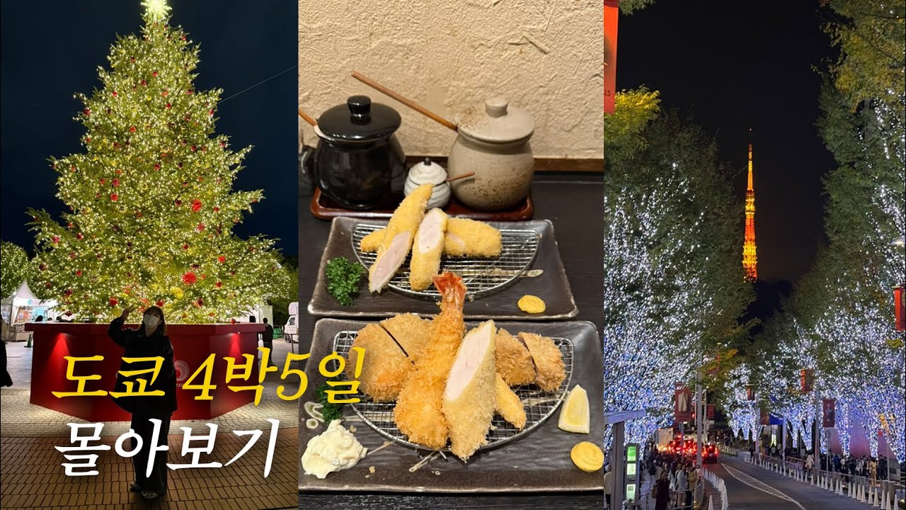 vlogㅣ도쿄 4박5일 몰아보기 (일루미네이션, 시퀀스미야시타, 미츠이가든호텔, 국립신미술관, 호루이치, 모헤지, 즈이초, 이마카츠, 우나후지, 푸글렌, 빵토에스프레소토, 하브스)