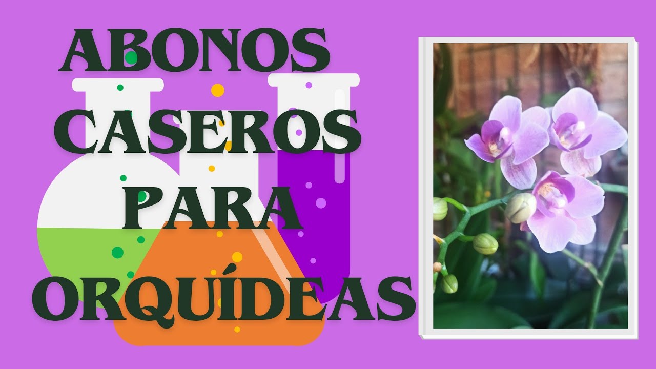 OBONOS CASEROS PARA ORQUIDEAS