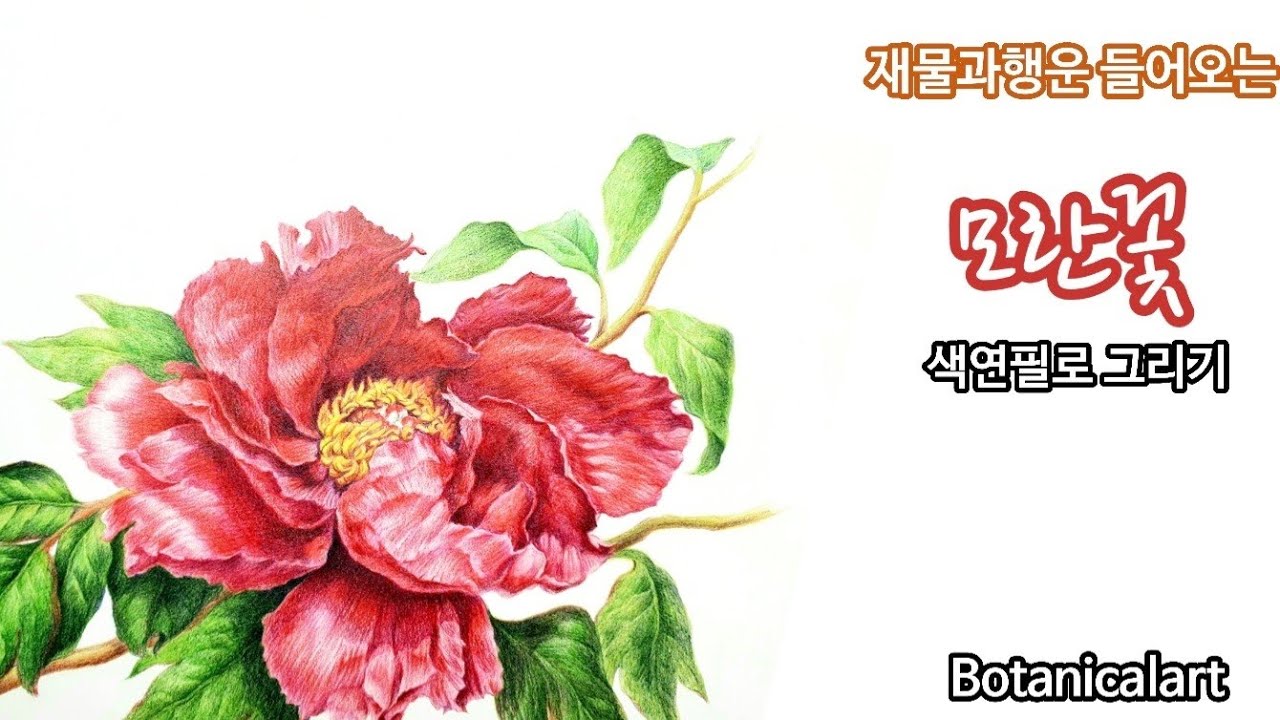 꽃그림/복 들어오는 꽃/보태니컬아트/모란꽃 그리기