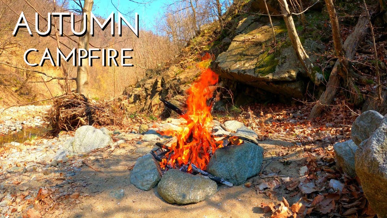 Autumn Campfire | Relaxing Campfire By The River In The Fall Autumn Woods