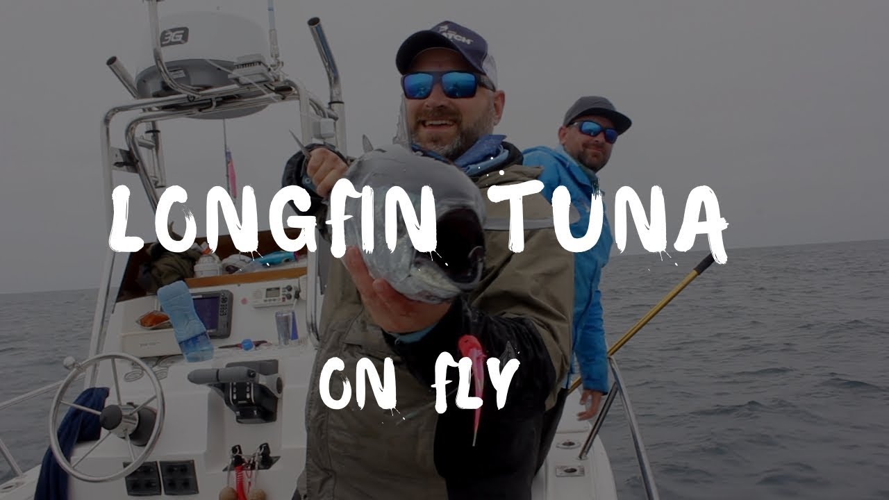 Longfin Tuna on Fly - 25 October 2018
