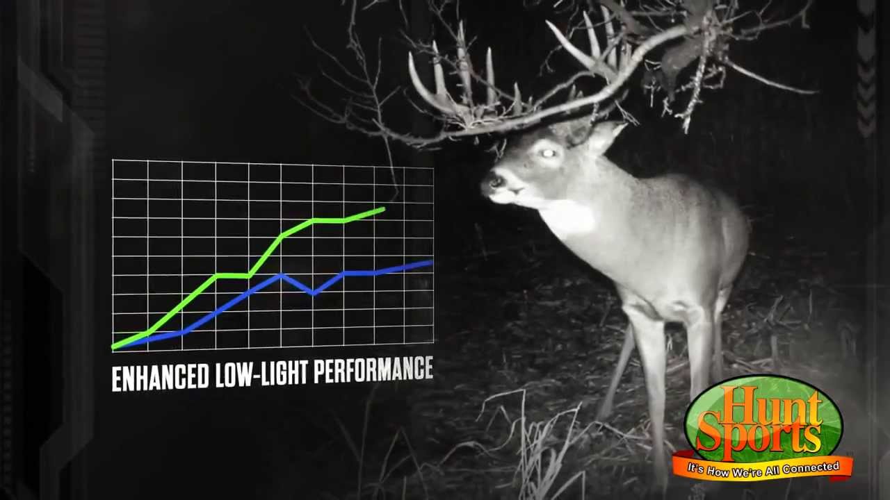Low Light Night Vision Trail Cams Deer Scouting Cameras Stealth Cam HuntSports 2014