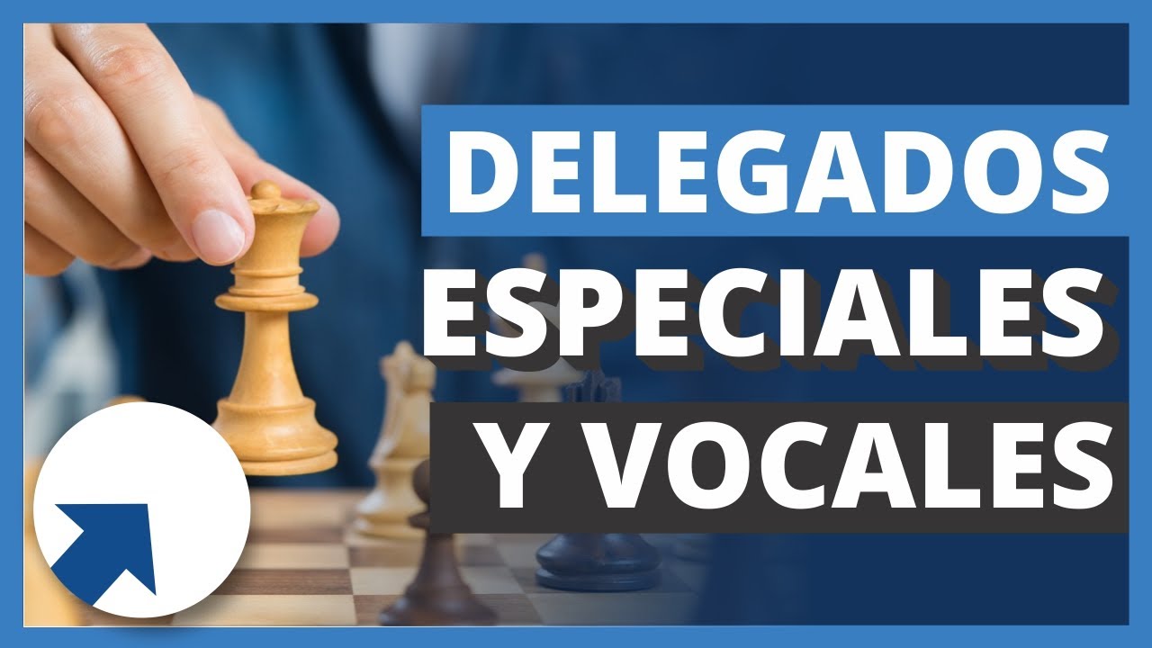 ✅ Delegados especiales y vocales | Principales funciones