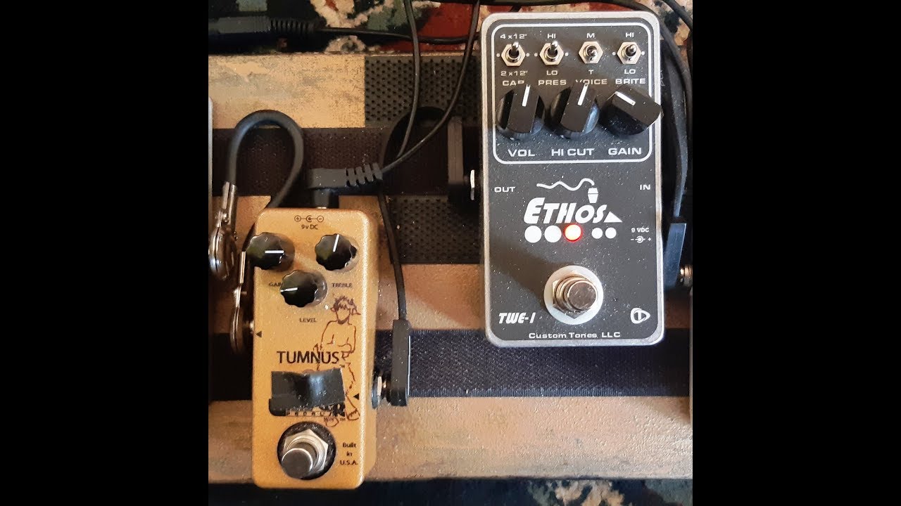 SunNoodle #4 Perfect Pair! Ethos TWE-1 / Wampler Tumnus