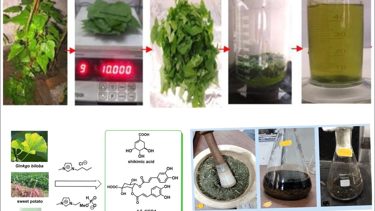 Chemical extraction of Plant leaves or other parts of plants -Natural products extraction