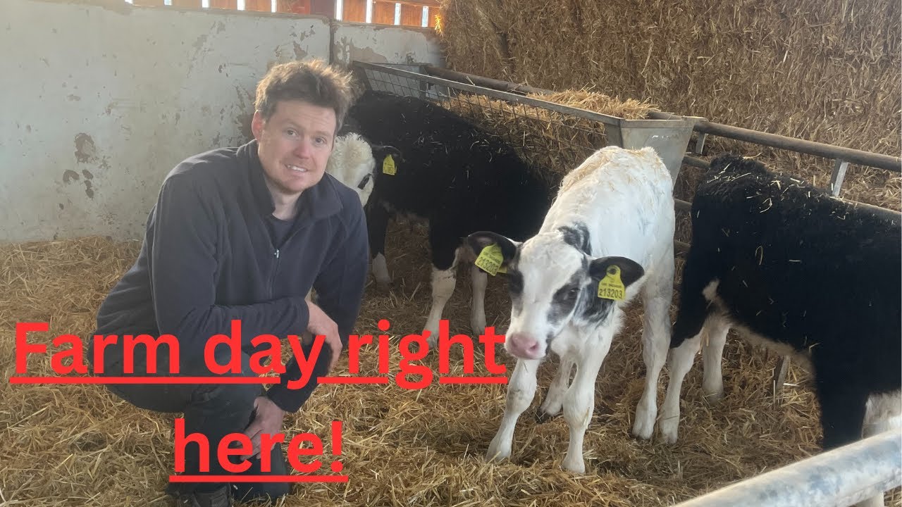 Day on the farm