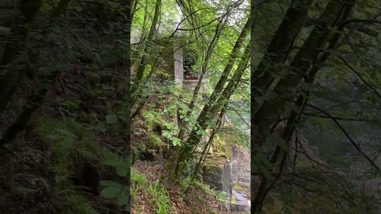 The Hermitage Scotland, August 2025 #scotland #travel #holiday #waterfall #scottishscenery