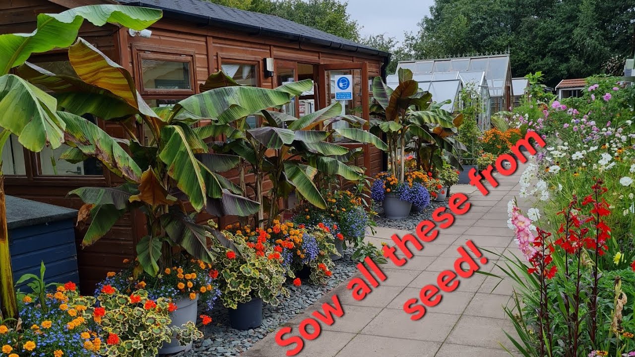 How I sow like a PRO 