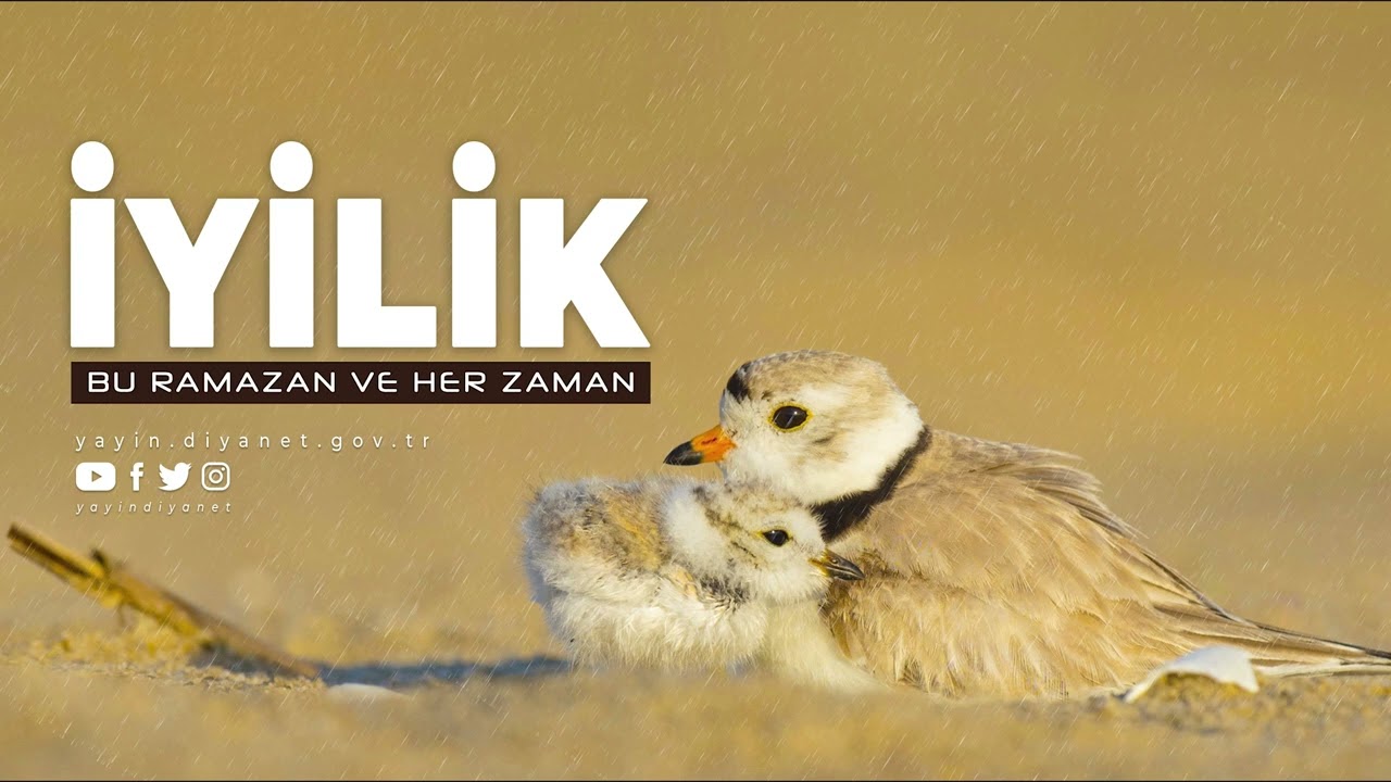 İyilik - Bu Ramazan ve Her Zaman - Sesli Kitap