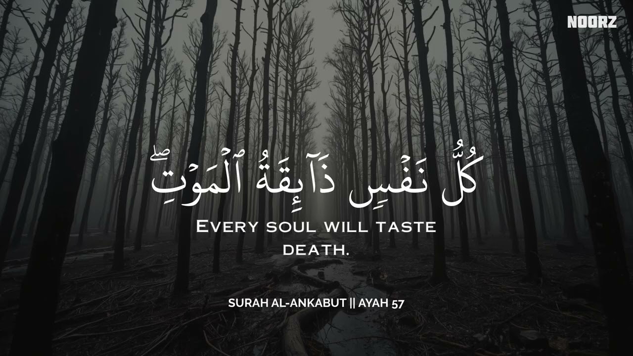 أرح سمعك وقلبك بالقرآن - تلاوة تقشعر لها الأبدان بصوت محمد هشام | Mohamed Hesham | ❤️🎧