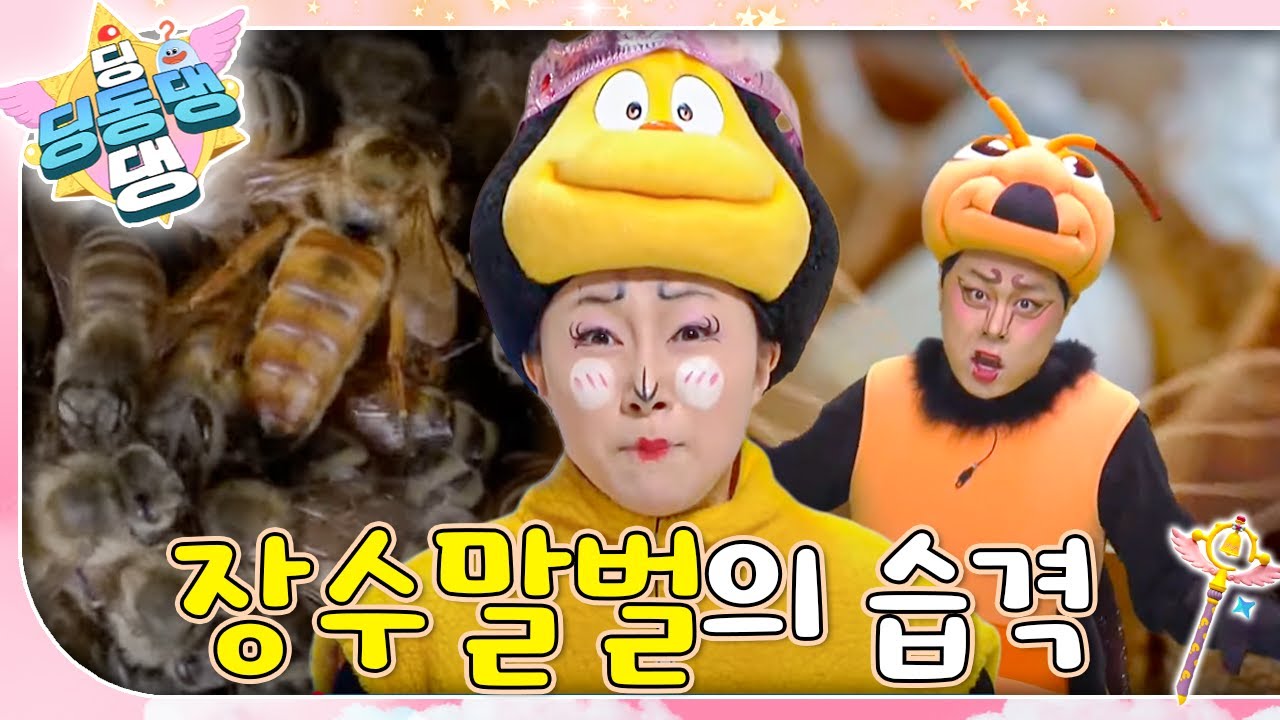 🚨비상! 장수말벌이 꿀벌 왕국에 침입했다!! 🐝ㅣ딩동댕 딩동댕ㅣ장수말벌의 습격
