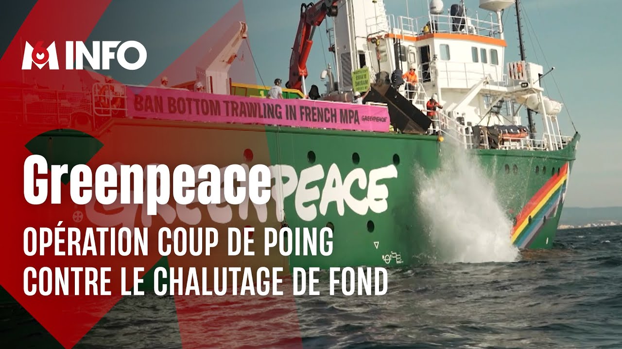 La lutte de Greenpeace contre le chalutage de fond