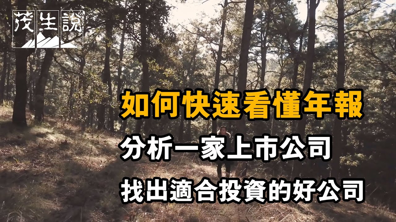 如何快速看懂年報，分析一家上市公司，找出適合投資的好公司