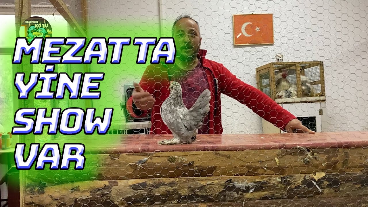 Yasaklar Bitti Mezat Başladı