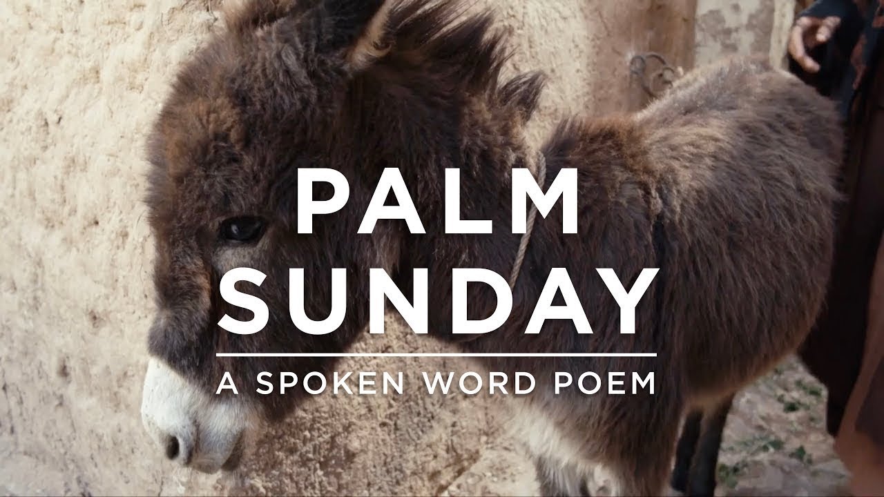 Palm Sunday || Spoken Word || David Bowden