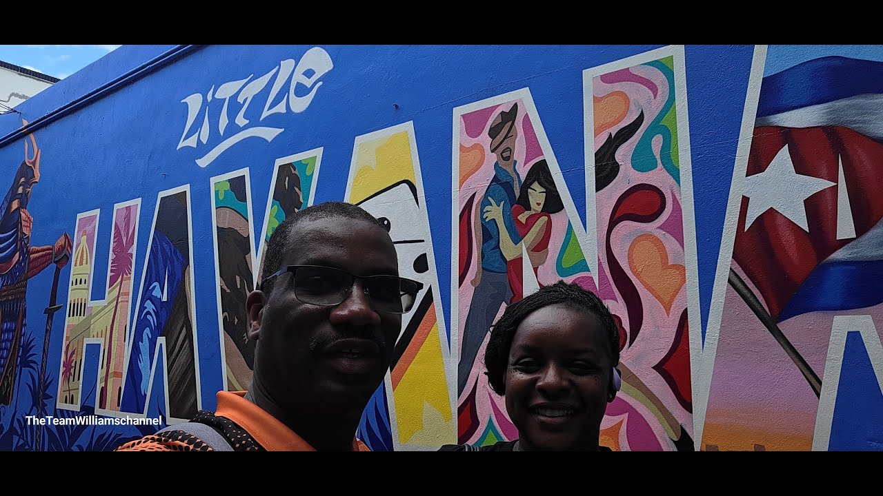Miami Big Bus Tours After Cruise