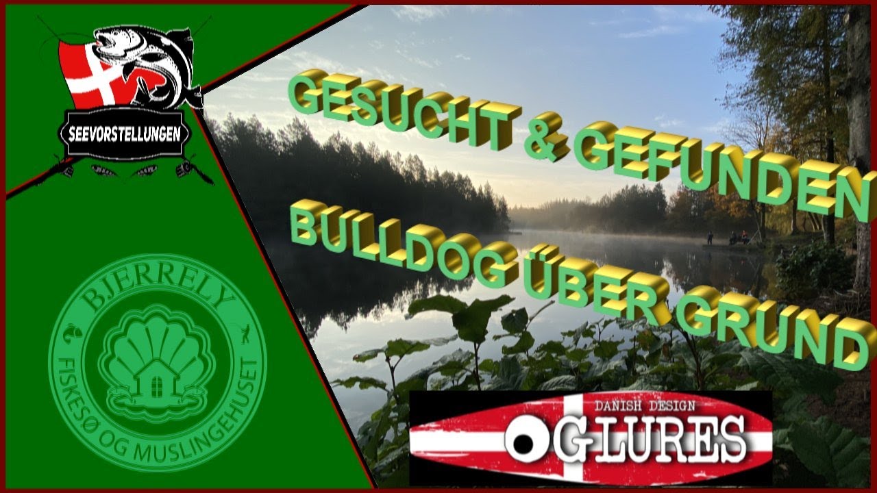 Bjerrely Part 3 || Put & Take || Dänemark || OGP Bulldog || UL über Grund || Forellen im Herbst