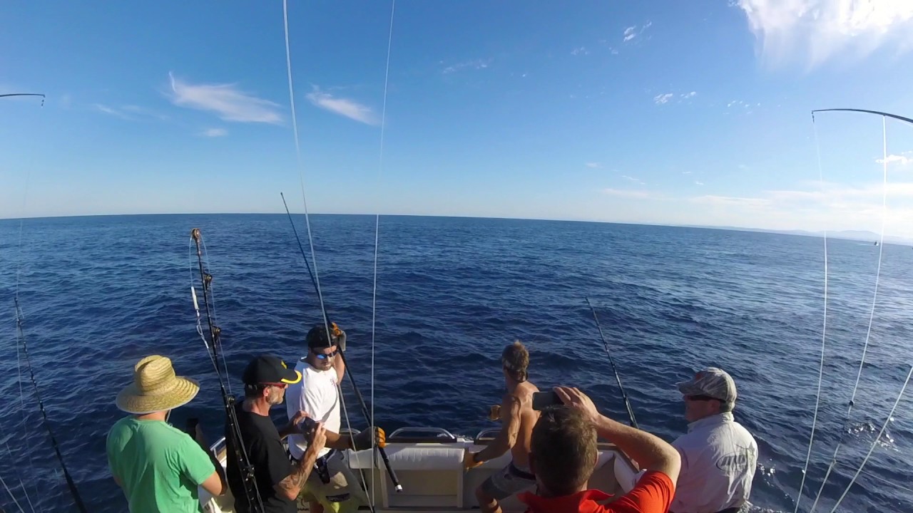 Marlin Fishing Bermagui - Head Hunter Charters