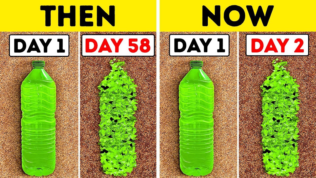 Scientists Have Found Plastic-Eating Bacteria