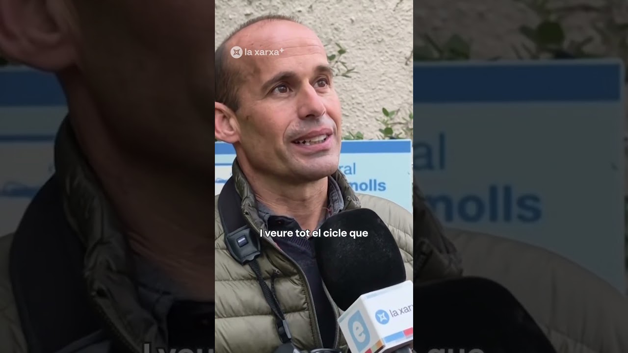 Cigonyes en directe