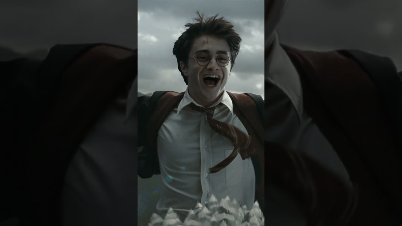 Harry and Buckbeak's flight #HarryPotter #Buckbeak #Hippogriff