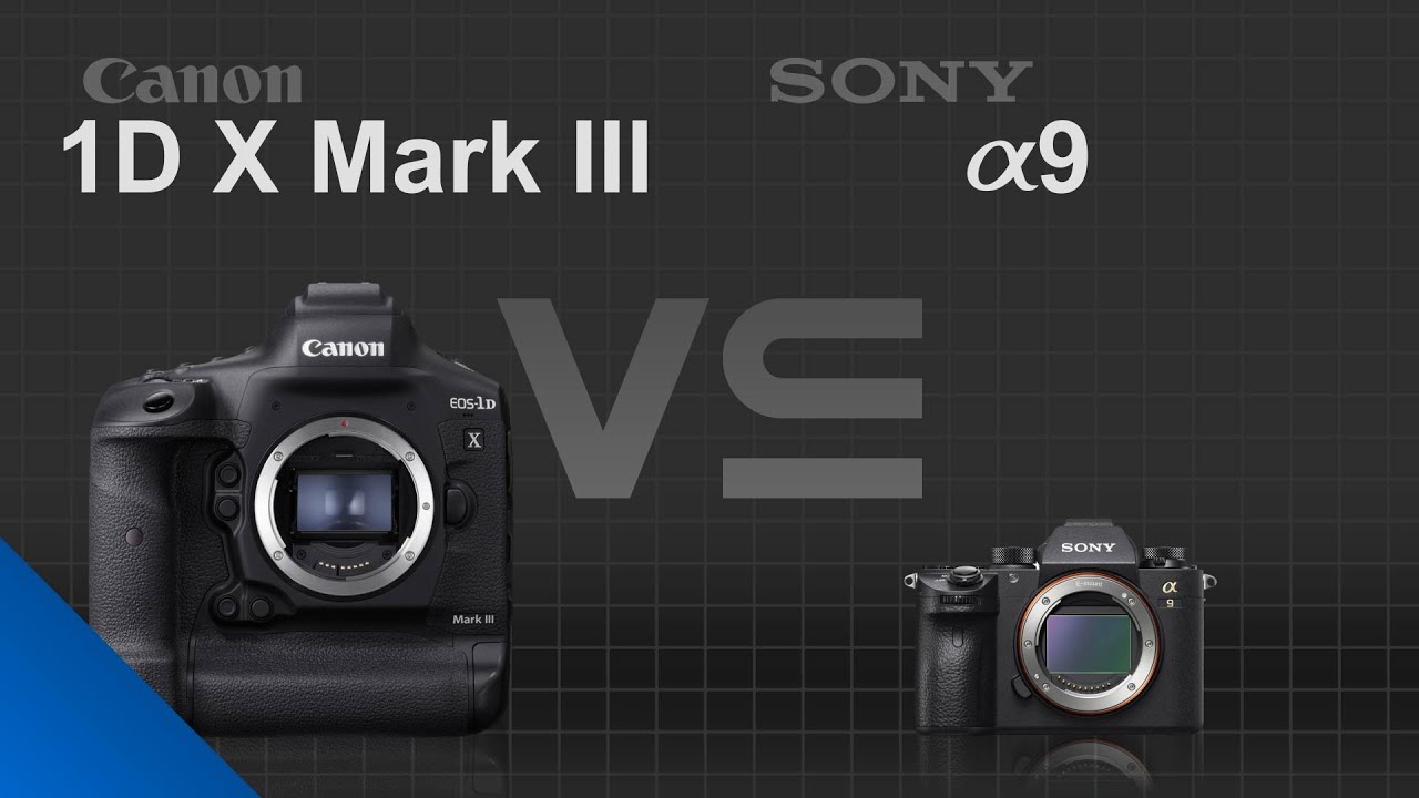 Canon EOS 1D X Mark III vs Sony alpha a9