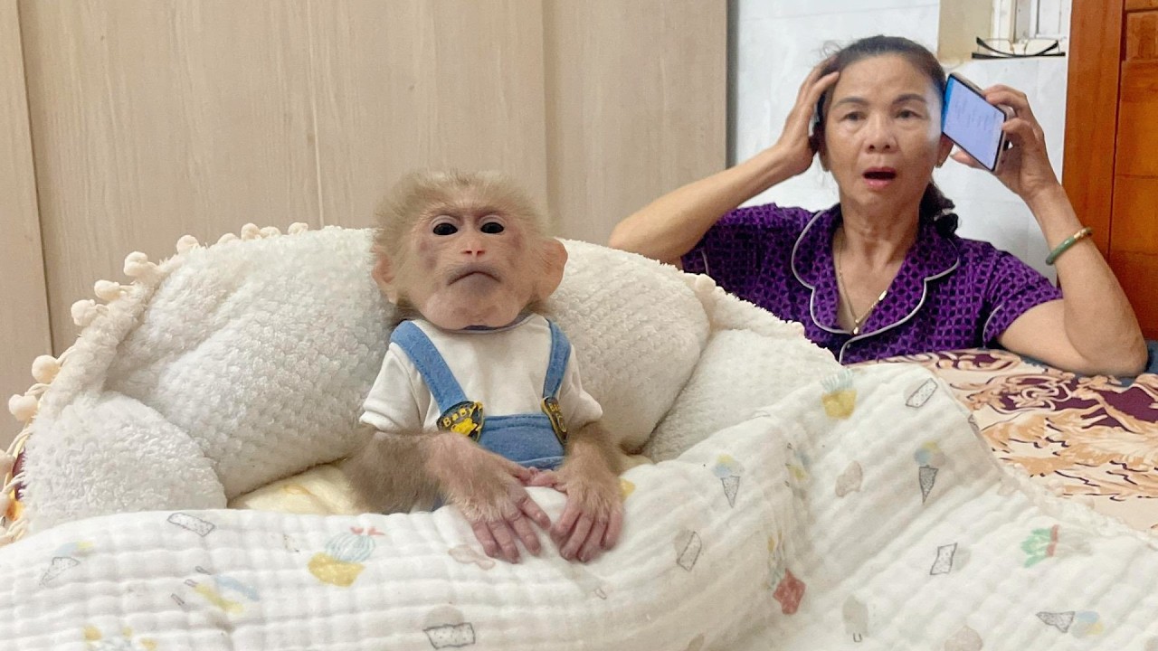 Lulu Is Getting Worse — We Just Hope She Can Make It