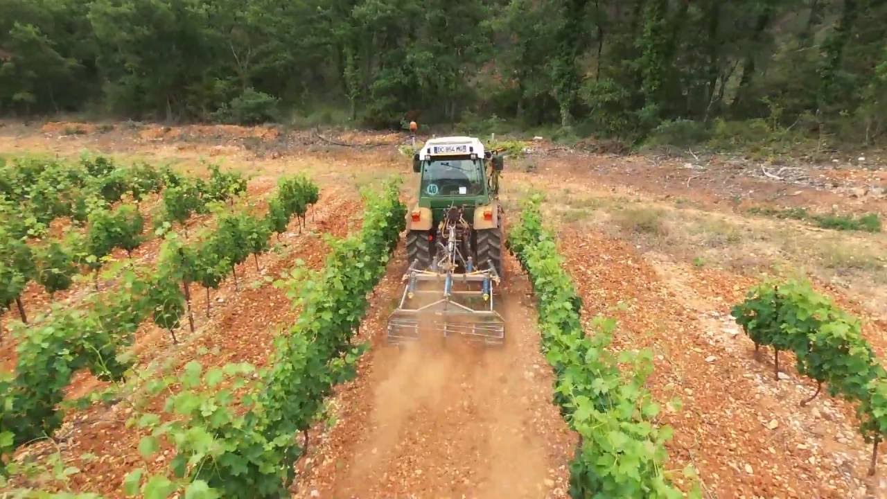 Rognage avec FENDT 211 P VARIO + ROGNEUSE HERVE ET MAURICIO + ACTISOL