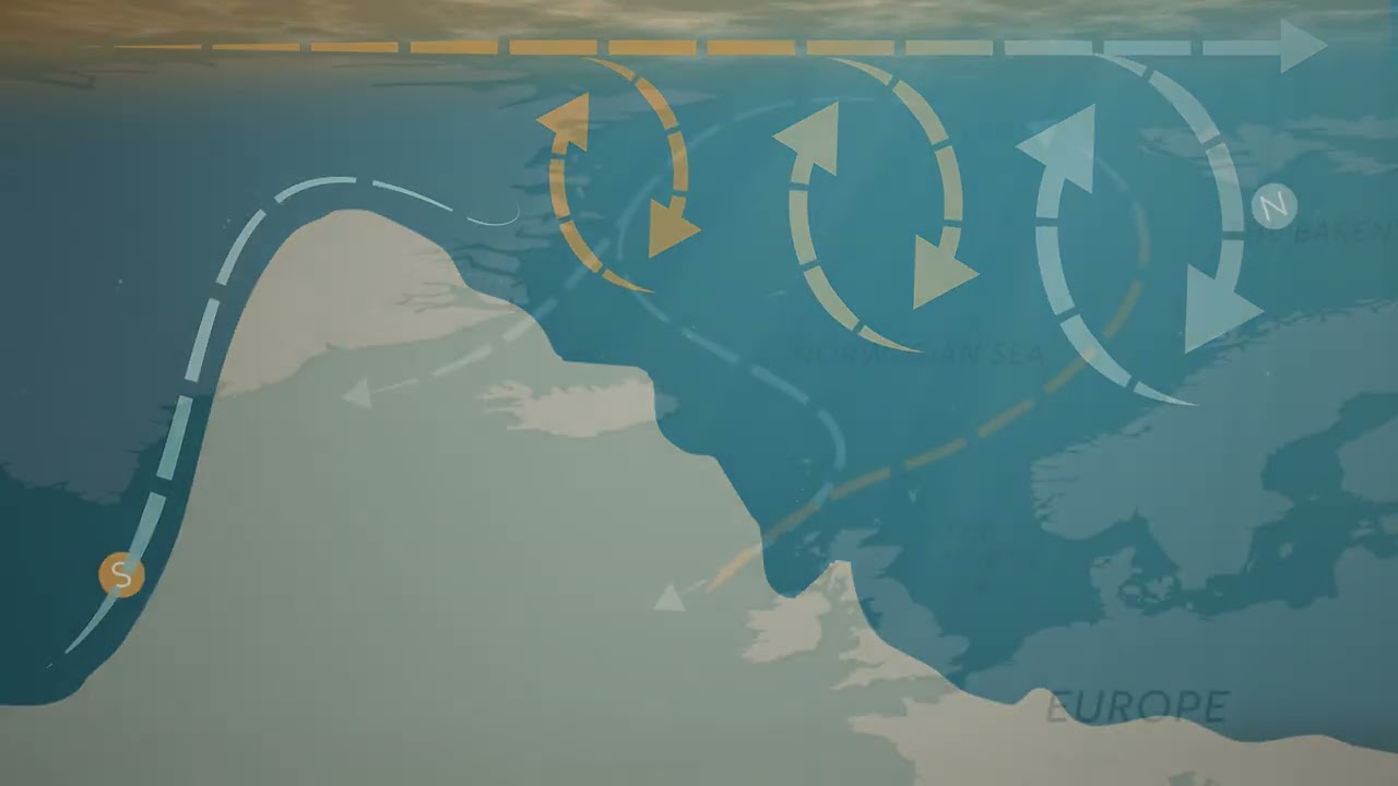 North Atlantic overturning circulation and deep water formation
