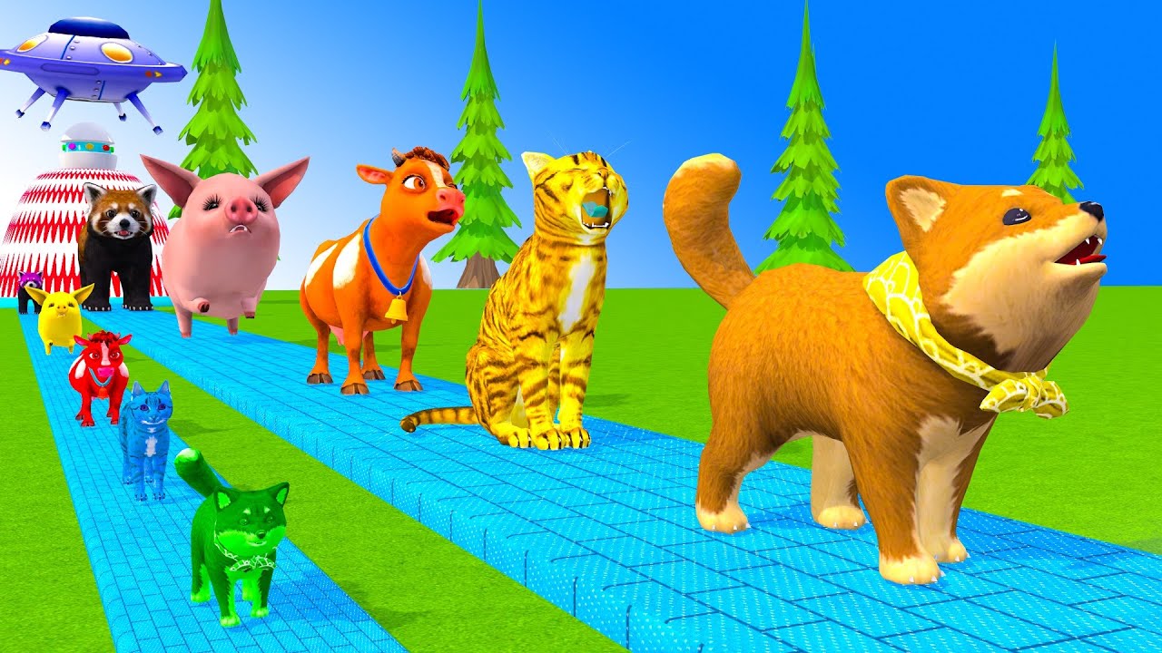 Long Slide Game With Cow Elephant Gorilla Hippopotamus Tiger 3d Animal Game Funny 3d Animals
