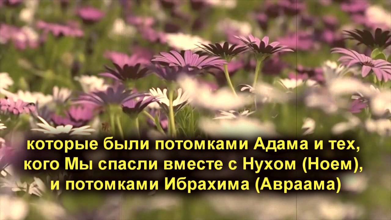 Мухаммад аль-Люхайдан - Коран, сура 