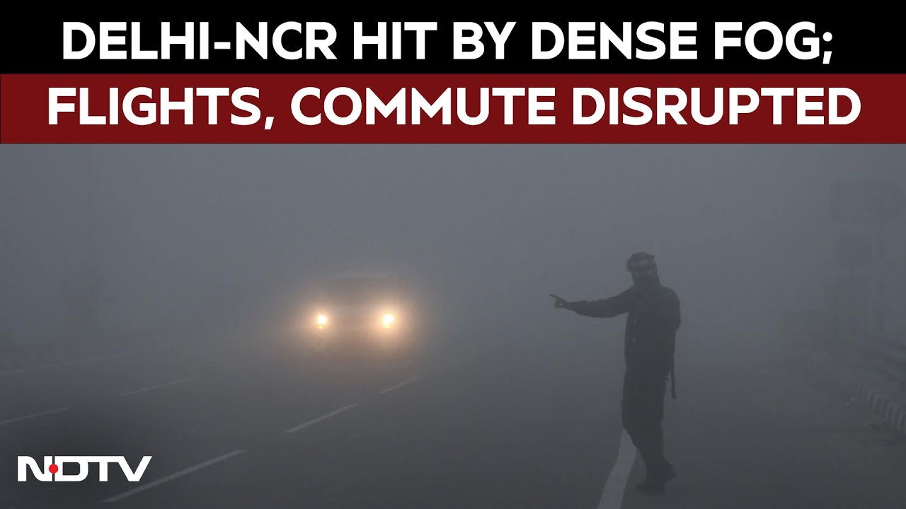 Delhi Fog Today | Delhi-NCR Hit by Dense Fog; Flights, Commute Disrupted