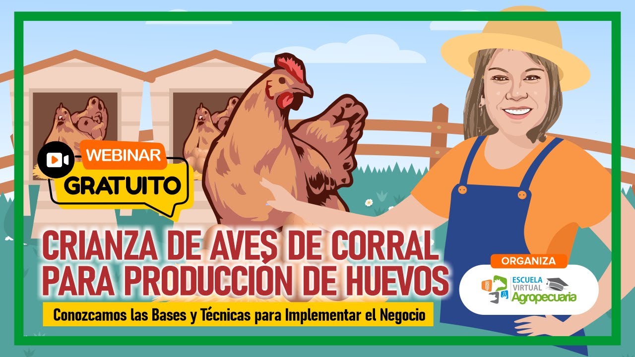Clase Gratuita: Crianza de Aves de Corral para Producción de Huevos